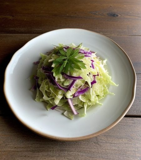 Dutch Slaw recipe image