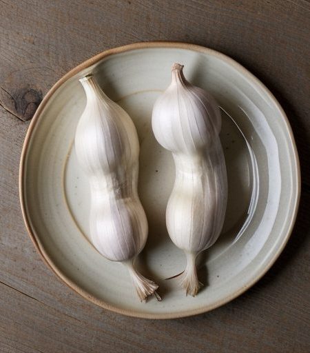 Garlic Recipe recipe image