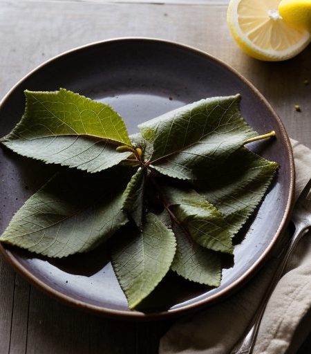 Grape Leaves recipe image