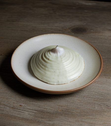 Onion Salt recipe image