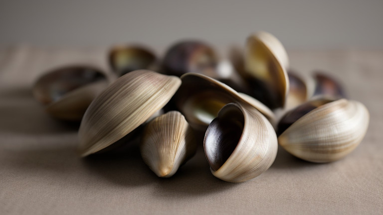 Clams recipe archive image